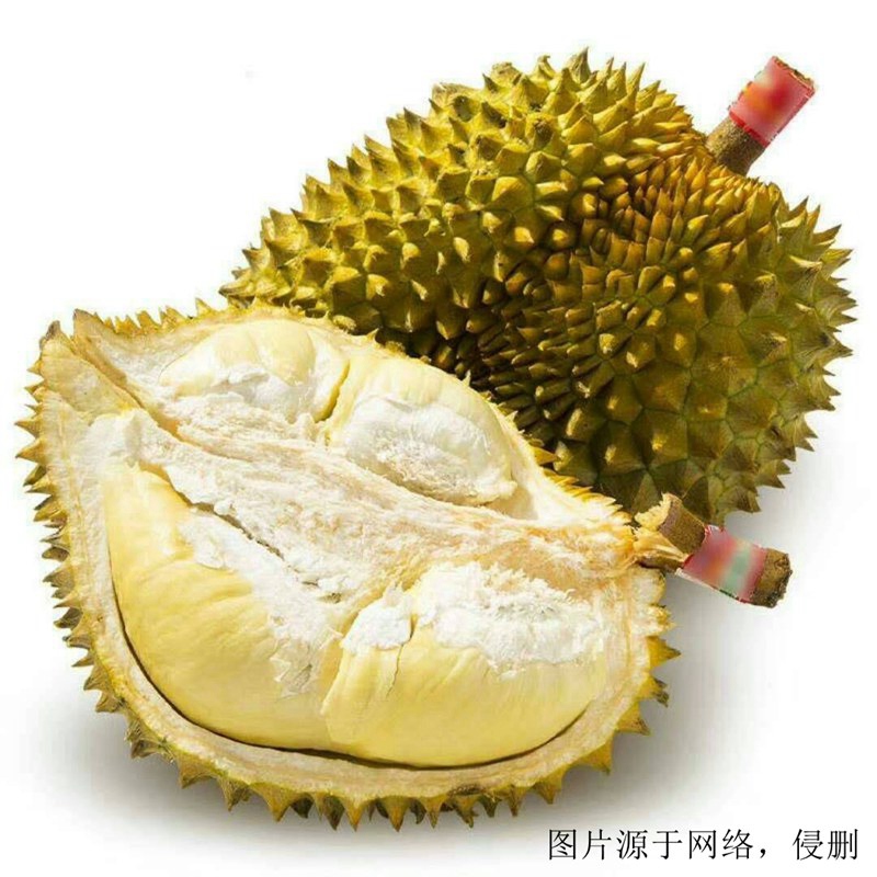 廣州進口越南榴蓮報關(guān)流程_越南胡志明港海運費用